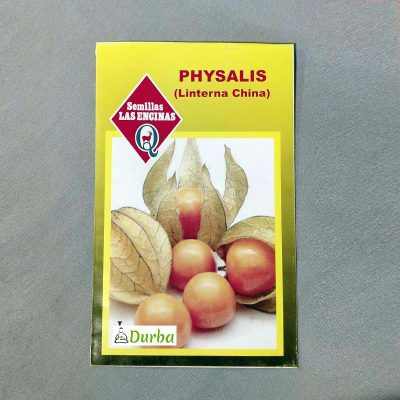 Physalis (Linterna China)