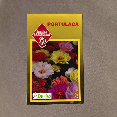 Portulaca