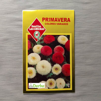 Primavera (colores variados)