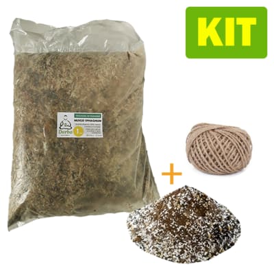 Kit Kokedamas