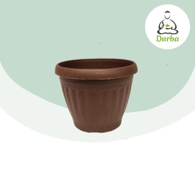 Maceta 6.5 Colores Variados