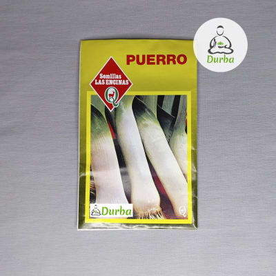 Puerro