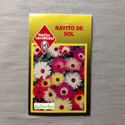 Rayito de sol