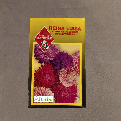 Reina Luisa Pluma de Avestruz (doble variada)