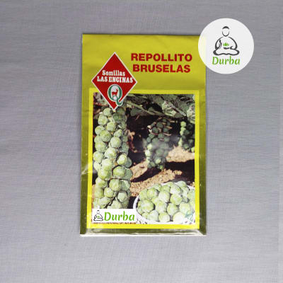 Repollito Bruselas