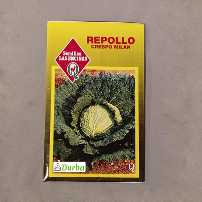 Repollo Crespo Milán