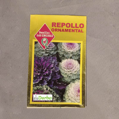 Repollo Ornamental