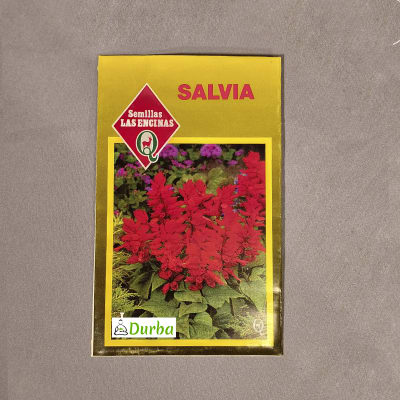 Salvia Splendens (Rojo Brillante)