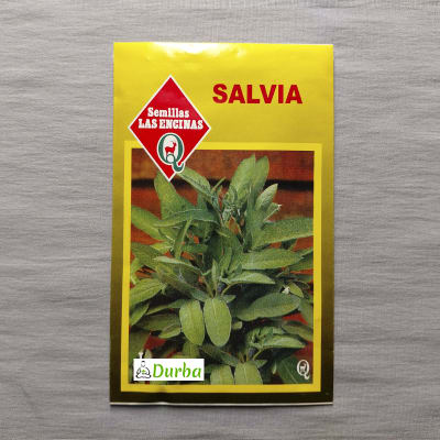 Salvia