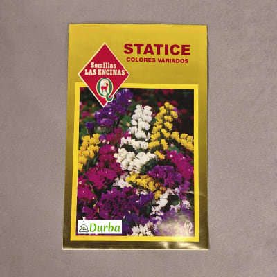 Statice