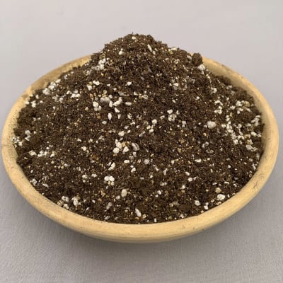 Cactus Mix