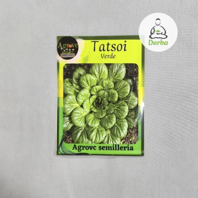 Tatsoi verde