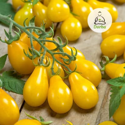 Tomate Cherry Perita Amarillo