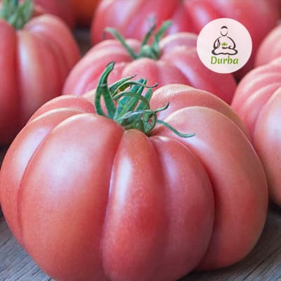 Tomate rosado