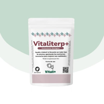 Vitaliterp+