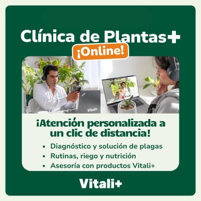 Clínica de Plantas Digital
