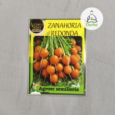 Zanahoria Redonda