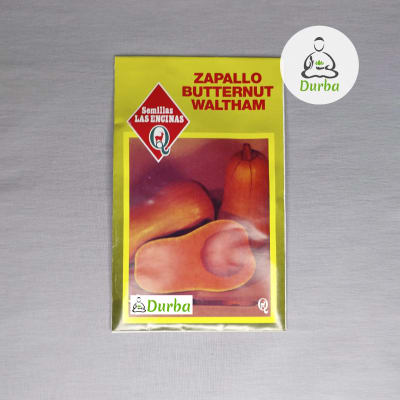 Zapallo Butternut Waltham