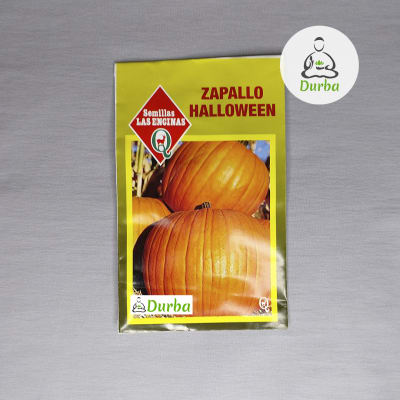 Zapallo Halloween