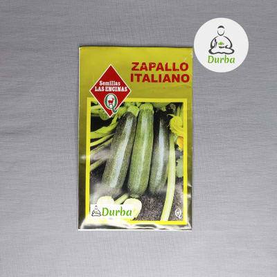 Zapallo Italiano