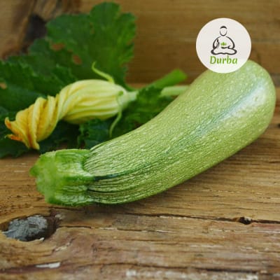Zapallo Italiano Gray Zuchinni