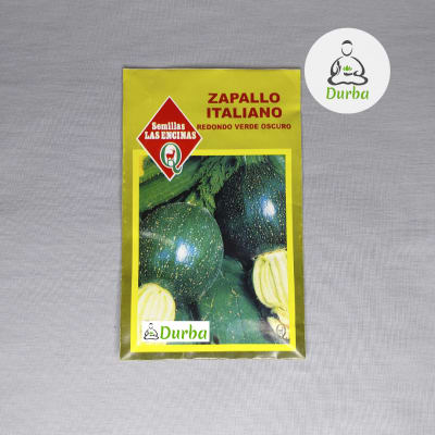 Zapallo Italiano Redondo Verde