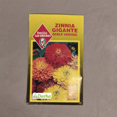 Zinnia Gigante (Doble variada)
