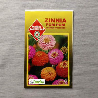 Zinnia Pom Pom