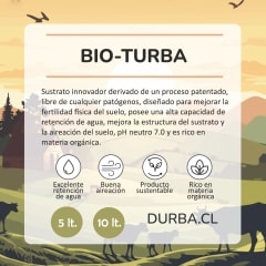 Bio-Turba Bio-Turba