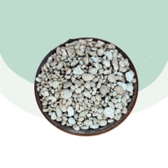 Piedra Pómez (5 a 15 mm)