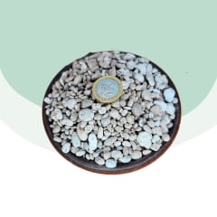 Piedra Pómez (5 a 15 mm)