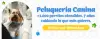 Peluqueria canina