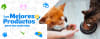 productos perros gatos puerto varas1649