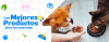 revbanner web idefix 1290x5004144 waifu2x art noise2 scale9862