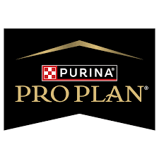Pro Plan