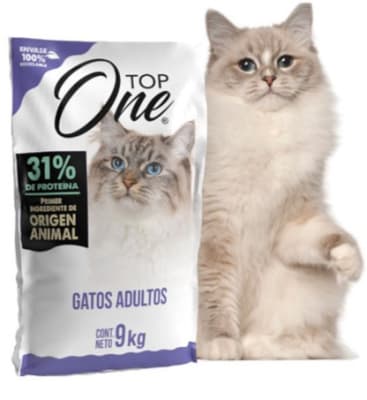 Top One Gato Adulto con Pollo Y Salmón 9 kg