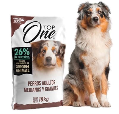 Top One Perro Adulto 18 kg1
