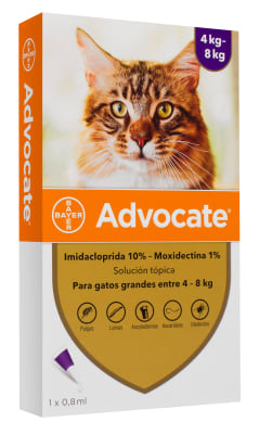 Advocate Gato 4-8