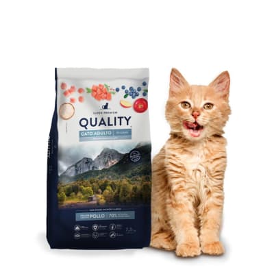 Quality Gato 3 kg1