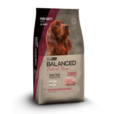 Balanced Natural Recipe Cerdo1