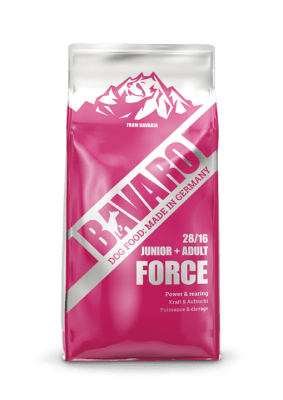 Bávaro Force