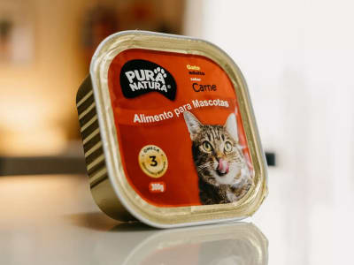 Lata Gato Carne 300g