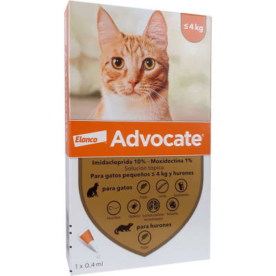 Advocate Gatos hasta 4 kg
