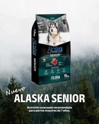 Alaska Senior
