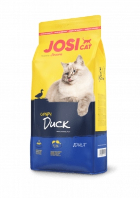 Josicat Duck1