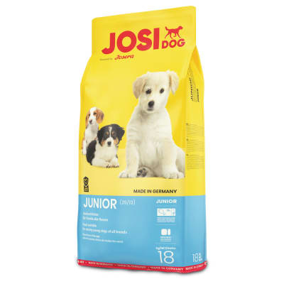 JosiDog Junior1