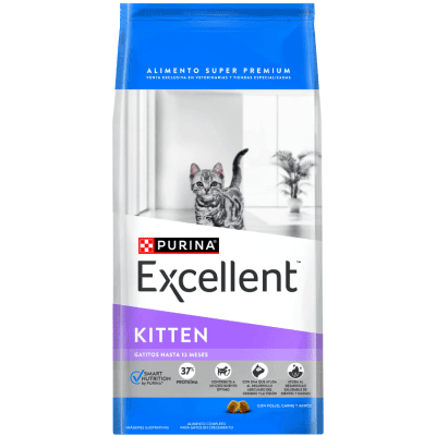 Excellent kitten