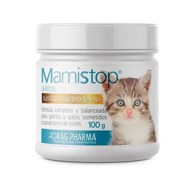 MamiStop GATO