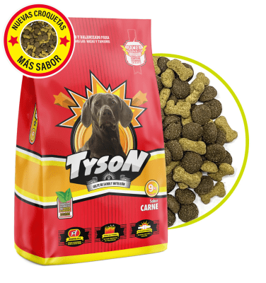 Tyson Adulto 25 kg1