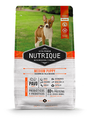 Nutrique Puppy Raza Mediana 12 kg1